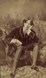 Oscar Wilde, 1882 (albumin print)
